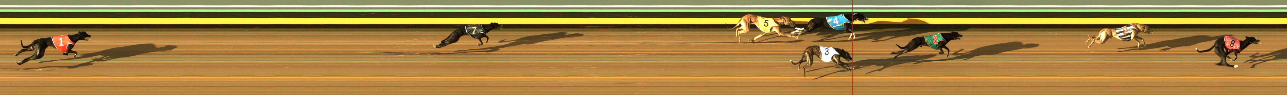 Race result finish photo